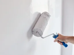 מברשות / רולרים