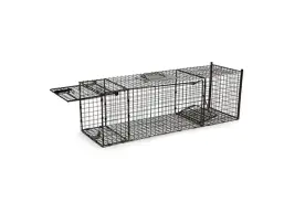 מלכודת חתולים