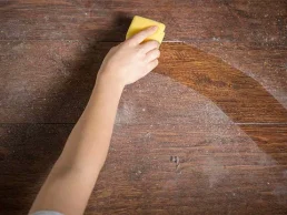 מסירי צבע ומדללים