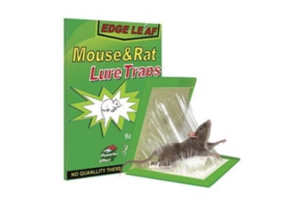 מלכודת עכברים דבק קלקל  RANA56