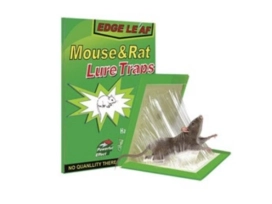 מלכודת עכברים דבק קלקל  RANA56