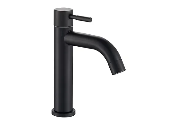 ברז פרח מים קרים דגם 10 שחור AQUILA