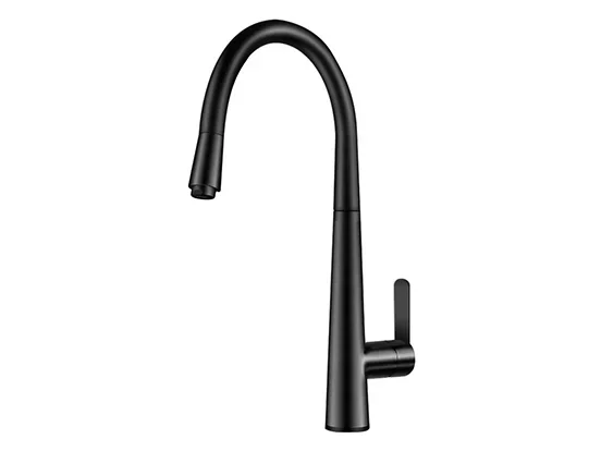 ברז נשלף CAESAR שחור AQUILA