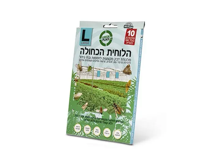 הלוחית הכחולה LARGE