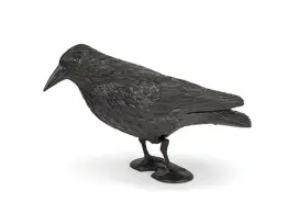 הדחליל המבהיל-דמוי עורב שחור להרחקת יונים