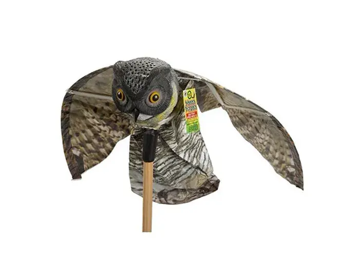 הדחליל המבהיל-דמוי נץ עף ע"י רוח