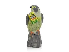 הדחליל המבהיל-דמוי נץ עומד