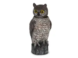 דחליל ינשוף ראש מסתובב