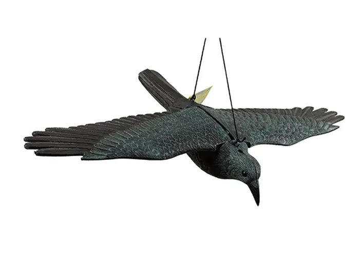 הדחליל המבהיל עורב פרוס כנפיים כולל חוט תליה