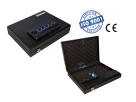 כספת אקדח (65-300-230) RANA56 רנאטולס