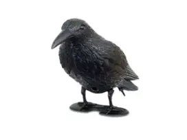 עורב להרחקת יונים רנאטולס RANA56