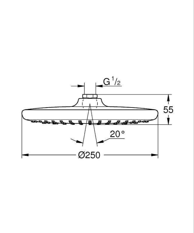 ראש מקלחת עגול 25 ס"מ 26676000 גרואה (Vitalio start) GROHE