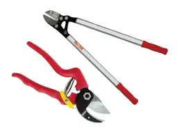 מספריים / מזמרה