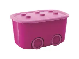 קופסאת אחסון פאני כתר KETER